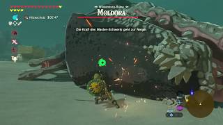 The Legend of Zelda  Breath of the Wild  Weltboss Moldora Herz Quest [upl. by Hilly139]