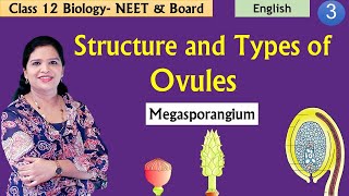 Structure of a Megasporangium Ovule  Sexual Reproduction in Flowering Plants [upl. by Ixela106]