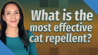 What is the most effective cat repellent [upl. by Sucramat571]