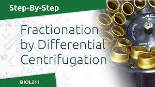 BIOL211  Differential Centrifugation Lab [upl. by Ekralc545]