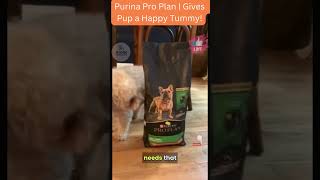 Review of Purina Pro Plan High Protein Small Breed Dog Food  Whats the Difference [upl. by Cad911]