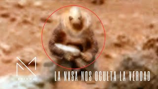 HEMOS SIDO ENGAÑADOS los EXTRATERRESTRES NO SON COMO PENSABAMOS según científico [upl. by Jaquenetta]