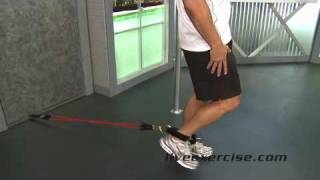 HOW TO DO Leg Extension Exercises with Resistance Bands [upl. by Eiramyllek585]