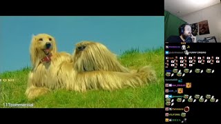 Forsen  Creepy Japanese Calbee Consome Panchi Dog Commercials [upl. by Ermanno465]