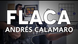 Flaca Andrés Calamaro Tutorial Cover  Guitarra Mauro Martinez [upl. by Kaasi]