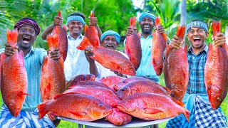 RED SNAPPER FISH  Big Fish Grill Recipe Cooking in Village  Fish Fry in Clay  Ancient Cooking [upl. by Trimble868]