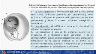 Examen Biología Julio 2013  Opción B [upl. by Abrahan]