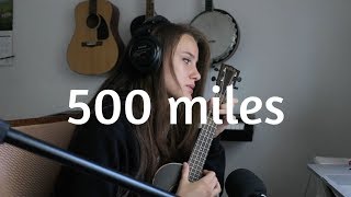 Im Gonna Be 500 miles  Sleeping At Last  COVER [upl. by Akemit]