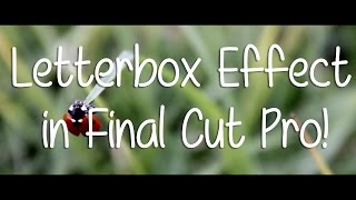 How to Add Letterbox Effect in Final Cut Pro X Changing Aspect Ratio [upl. by Thynne]