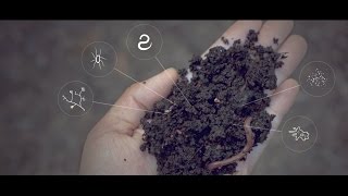 Soil Solutions to Climate Problems  Narrated by Michael Pollan [upl. by Audi]