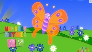 INCY WINCY MONKEY LADYBUG amp BUTTERFLY  Nursery Rhymes  English Songs For Kids  Nursery Rhymes TV [upl. by Teryn226]