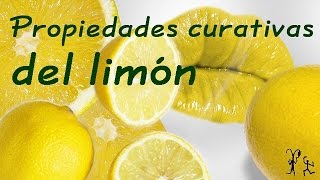 El limon sus propiedades curativas Propiedades y beneficios del limón [upl. by Sesilu106]