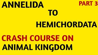 CHARTNCERTCrash CourseClass 11Animal KingdomAnnelida to Hemichordata Part3NEETAIIMS [upl. by Richy]