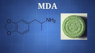 MDA What You Need To Know [upl. by Nahem]