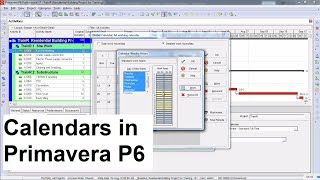 PPM P6  10 Calendars Defining for Project [upl. by Duffie]