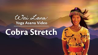 Wai Lana Yoga Video  Cobra Stretch [upl. by Alesi]