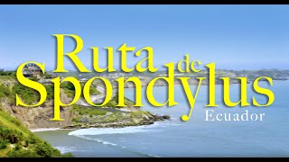 Ruta de Spondylus [upl. by Ekez]