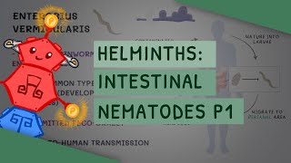 Helminths Intestinal Nematodes Part 1 features clinical importance diagnosis treatment [upl. by Icul]