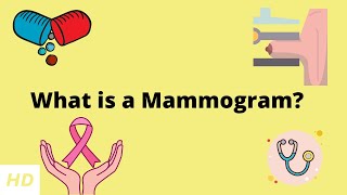 What is a Mammogram Everything you need to know [upl. by Pine]