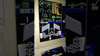 Bombardier GLOBAL EXPRESS 6000 power up [upl. by Freytag]