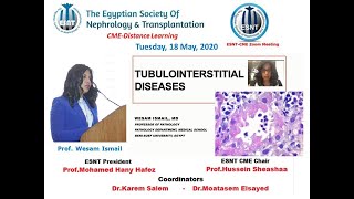 Tubulointerstitial Diseases English and Arabic Prof Wesam Ismail 18 May 2020 [upl. by Phionna]