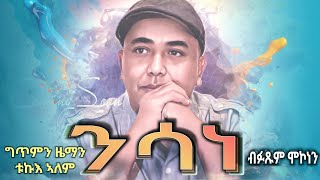 Fitsum Mekonnen  ንሳነ Nsane New Eritrean Music 2024 [upl. by Rabma]