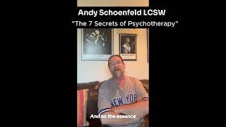 Andy Schoenfeld on quotThe Seven Secrets of Psychotherapyquot [upl. by Nared690]