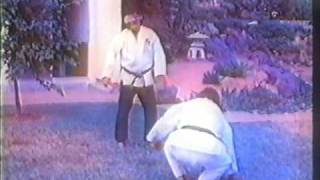 hanshi Tadashi Yamashitapart 5 of 10Suikendo Shorin Ryu Karate [upl. by Teri]