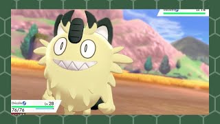 LIVE Shiny Galarian Meowth after 1134 REs full odds Sword and Shield [upl. by Assenat]