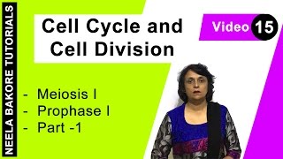 Cell Cycle amp Cell Division  NEET  Meiosis I  Prophase I  Part  1  Neela Bakore Tutorials [upl. by Ladnyk738]