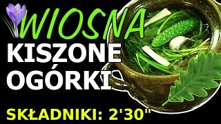 Kiszone ogórki  Wiosna [upl. by Crotty]