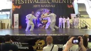 Bajiquan 八極拳  BA JI SHEN QUAN HUI  Festival dellOriente 2014 [upl. by Sigismund]