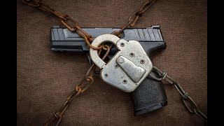 To Anyone Against or on the Fence About Gun Control [upl. by Salinas]