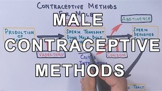 Contraceptive Methods for Male [upl. by Eisned901]