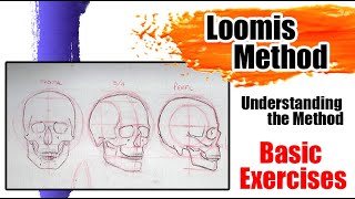 Loomis Method Andrew Loomis Method understanding the method [upl. by Davilman]