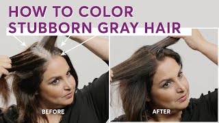 How to Color Stubborn Gray Hair [upl. by Htide]