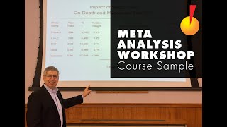 Course Sample How to Work Through a MetaAnalysis [upl. by Htebi]