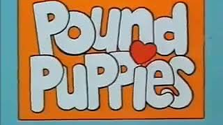 Gli Amici Cercafamiglia Pound Puppies  Sigla Iniziale 1985 [upl. by Uriah]