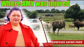 1000lb Sisters Breaking news update on AMY SLATONs current situation September 5th [upl. by Hedve697]