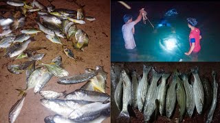 कोकणातील खोल खाडीतील रात्रीची तुफान मासेमारी  Koknatil masemari  fishing video2021 [upl. by Rucker]