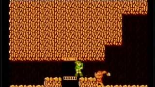 AVGN at 2x speed  Zelda 2 [upl. by Rivalee]