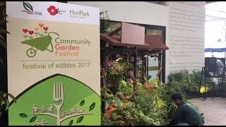 A quick tour around the Community Garden Festival at HortPark [upl. by Araiek]