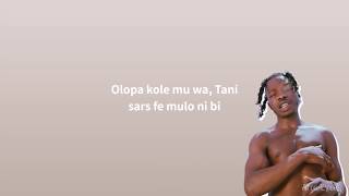 Naira Marley x Zlatan  Am I A Yahoo Boy Lyrics [upl. by Garrard]