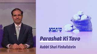 Parsha in 60 Seconds Presents Ki Tavo [upl. by Enneiluj643]