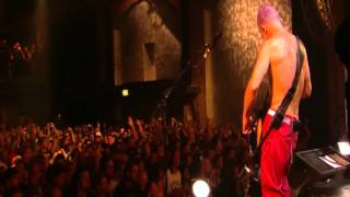 Red Hot Chili Peppers  Look Around  Live in Köln 2011 HD [upl. by Nnilsia]