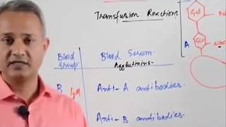 Blood Typing and Agglutination Reactions [upl. by Akitahs862]