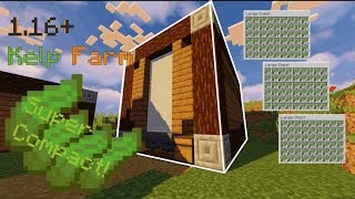 ✔️Automatic Compact Kelp Farm  Minecraft 116 Tutorial [upl. by Dalury]