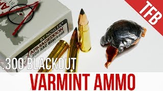 Would You Trust This Varmint Ammo For Defense Nosler 300 AAC 110gr Varmaggedon Gel Test [upl. by Solakcin]