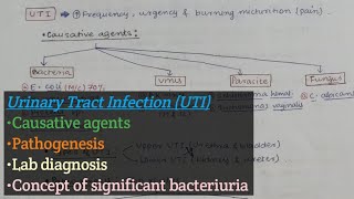 Urinary Tract Infection UTI  Causative agents of UTI  Pathogenesis of UTI  Lab diagnosis of UTI [upl. by Sup488]