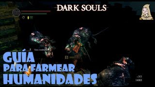 Dark Souls Humanidad  Guia para farmearla de forma fácil y rápida [upl. by Steel]